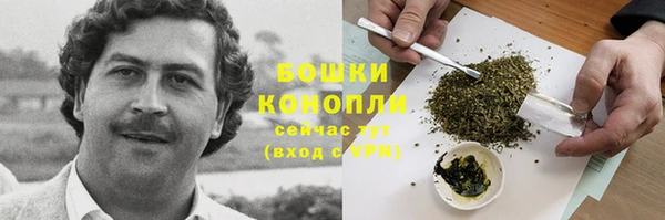 spice Абинск