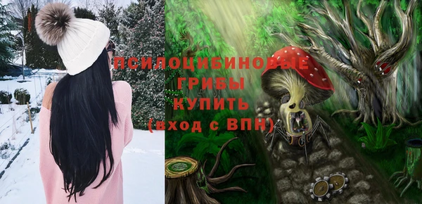 прущие грибы Абдулино