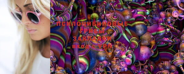 МДПВ Алексеевка