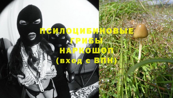 прущие грибы Абдулино