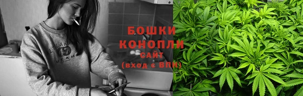 прущие грибы Абдулино