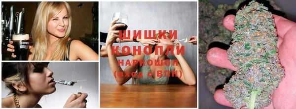 spice Абаза