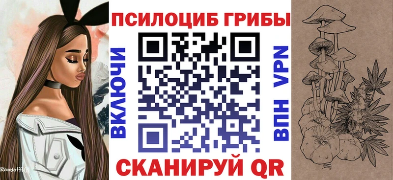 Псилоцибиновые грибы Cubensis  закладка  Щёлкино 
